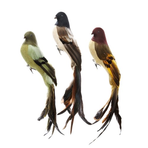 Long Tail Feather Flocked Bird Clip-on Ornament Set Of 3