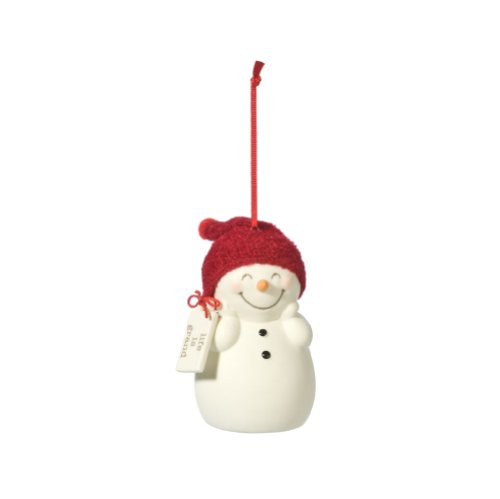 Department 56 Snowpinions Life is Grand Snowman Ornament