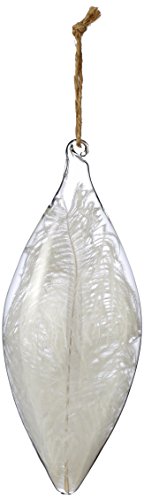 Sage & Co. XAO16763WH 8.5″ Glass Feather Quill Ornament