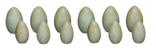 Primitives by Kathy Wooden Vintage Decorative Robin Eggs – Set of 12