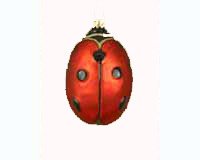 Ladybug Ornament