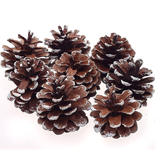 8Pcs Snow Pinecone Ornaments Christmas Tree Decorations Baubles Pine Cones