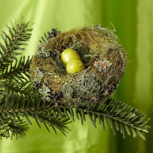 Enchanted Bird Nest Ornament (Pack Of 12)