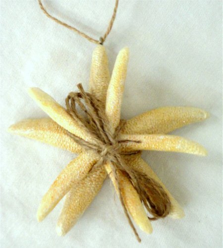 Double Resin Starfish Christmas Ornament with Twine Bow and Hanger