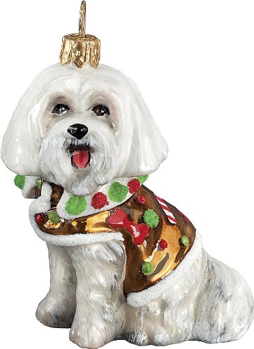 The Pet Set Diva Dog Blown Glass European Dog Ornament by Joy to the World Collectibes – Maltese with Gingerbread Sweater