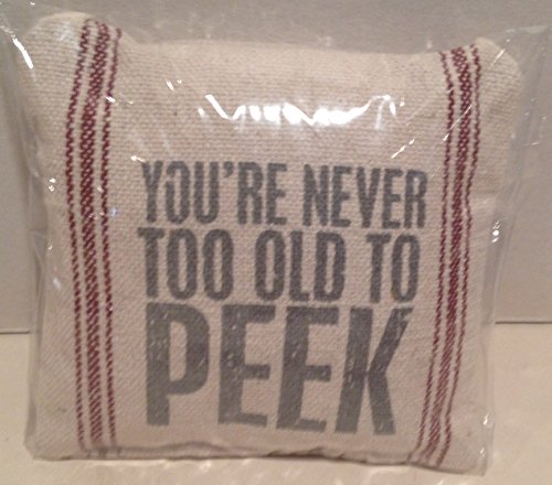Your Never Too Old to Peek Mini Pillow Gift Card Holder/ornament