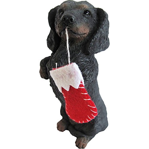 Sandicast Black Dachshund with Red Stocking Christmas Ornament