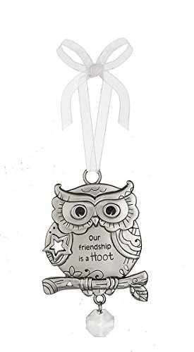 Our Friendship Is a Hoot – Beautiful Blessings Owl Ornament by Ganz