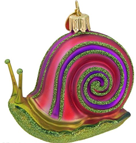 Kaleidoscope Snail
