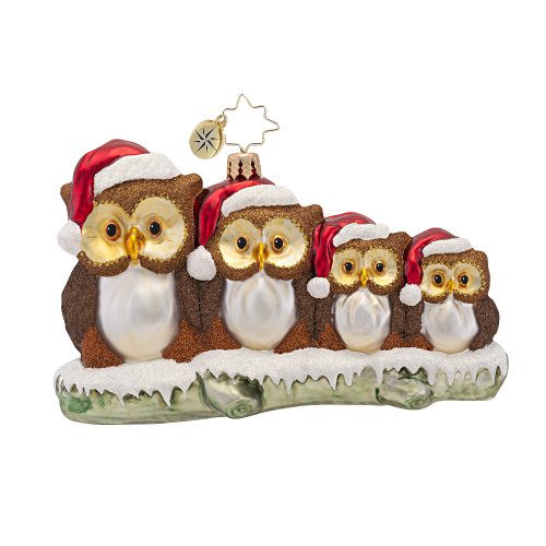 Christopher Radko Owl In The Family Ornament