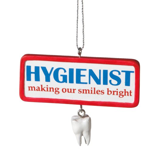Midwest CBK Dental Hygenist Christmas Ornament mw458730