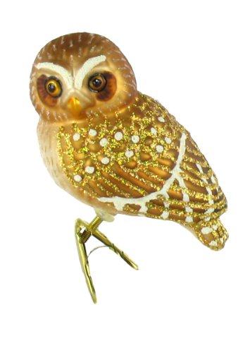 Old World Christmas Glass Ornament – Pygmy Owl