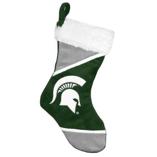 NCAA Michigan State Spartans 2014 Colorblock Stocking