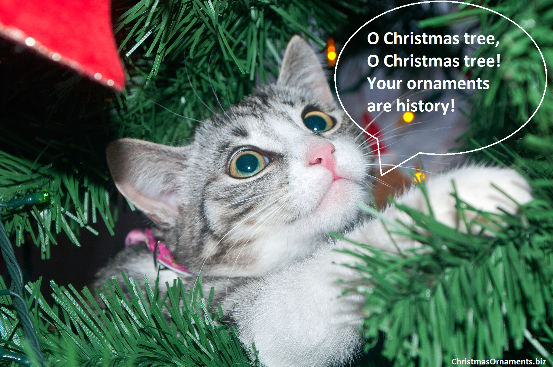 O Christmas Tree Cat & Ornaments Funny Meme