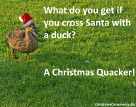 Christmas Joke Meme – Duck plus Santa