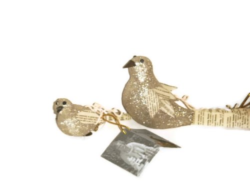 Bethany Lowe Bird Ornaments Birds Set of 4 (2 Small and 2 Large) Glitter