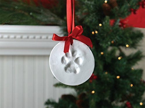 Pawprint Holiday Ornament Kit (1-pack)