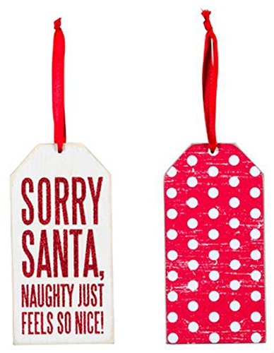 Sorry Santa Naughty Just Feels so Nice Wine Bottle Tag