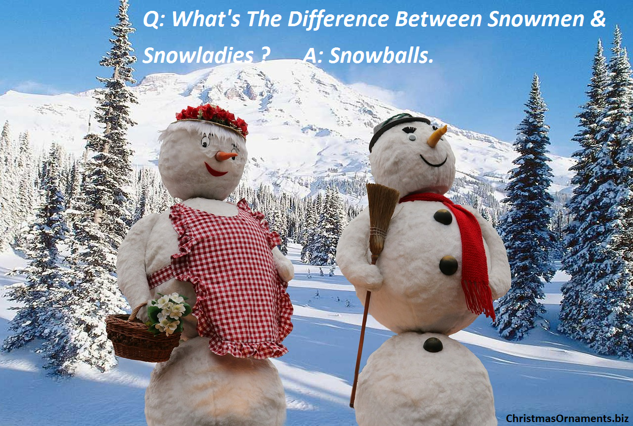 Christmas Joke Meme – Snowmen & Snowladies