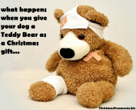 Teddy Bear Meme – Dog’s Christmas Gift