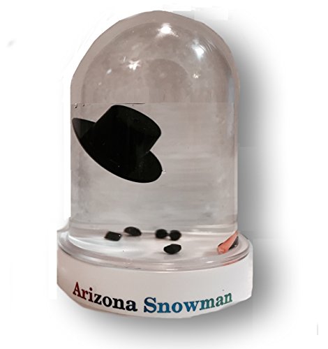The Original Melted Snowman Snowglobe – Arizona Snow Globe