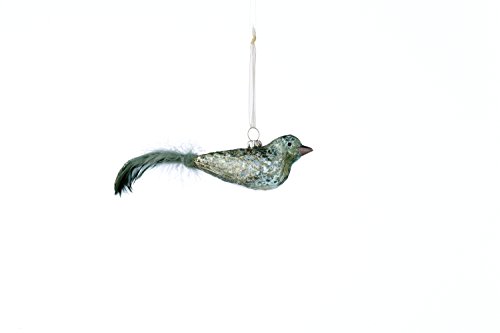 Sage & Co. XAO16761AQ 8″ Glass Bird Ornament