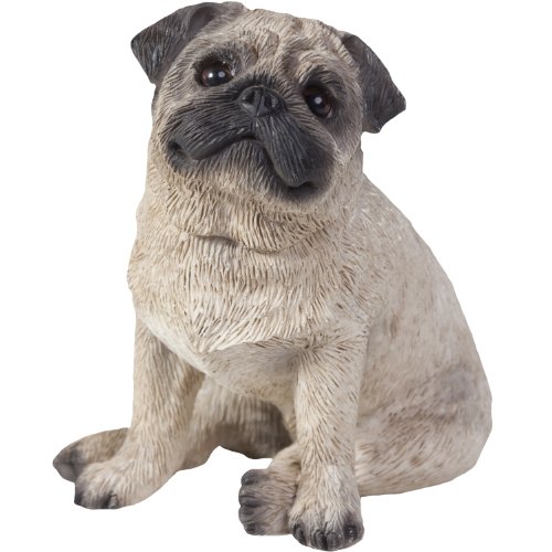 Sandicast Fawn Pug Sculpture, Sitting, Small Size