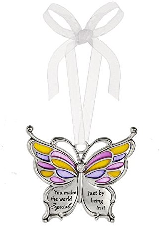 Ganz Butterfly Wishes Colored Ornament – You make the world Special just by being in it