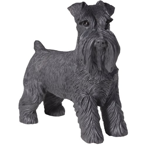 Sandicast Black Schnauzer with Uncropped Ears Sculpture, Standing, Small Size