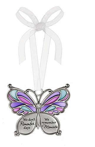 Ganz Butterfly Wishes Colored Ornament – We don’t Remember days We remember Moments