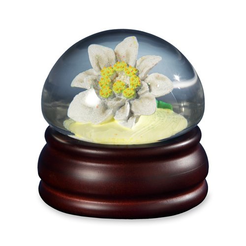 Edelweiss Mushroom Flower  Water Globe