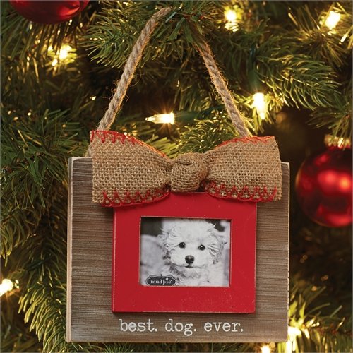 Best Dog Ever Frame Ornament