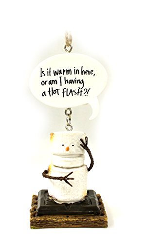 Toasted S’Mores Am I Having a Hot Flash? Christmas/ Everyday Ornament
