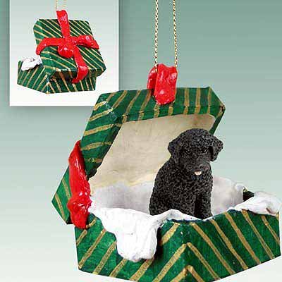 Conversation Concepts Portuguese Water Dog Gift Box Green Ornament