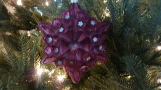 Sage & Co. Star Jeweled Ornament Red 4″