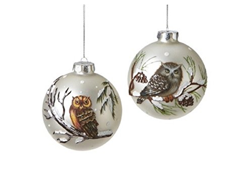 Glass Hand Painted Owl Ball Ornaments Set of 2 Assorted