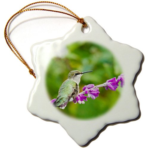 Danita Delimont – Hummingbirds – Ruby-throated Hummingbird at Mexican Bush Sage, Marion Co. IL – 3 inch Snowflake Porcelain Ornament (orn_207100_1)