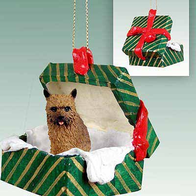 Conversation Concepts Norwich Terrier Gift Box Green Ornament