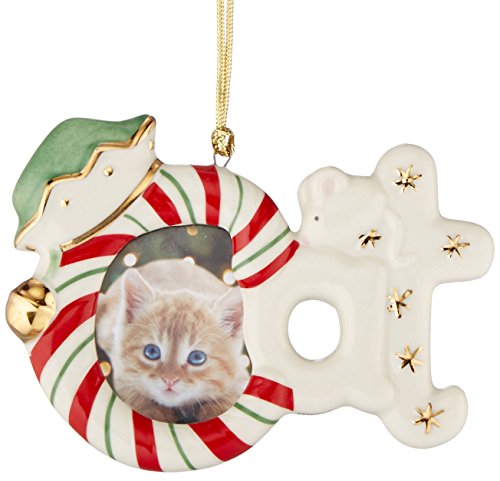 Lenox Cat Frame Ornament/Magnet