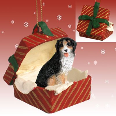 Conversation Concepts Bernese Mountain Dog Gift Box Red Ornament