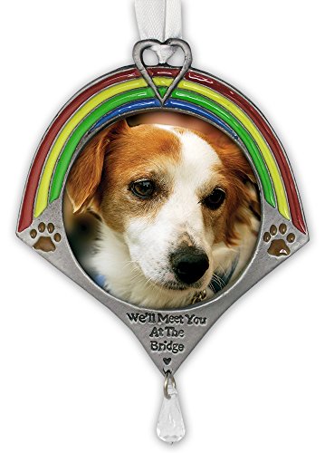 Pet Remembrance Rainbow Bridge Photo Ornament