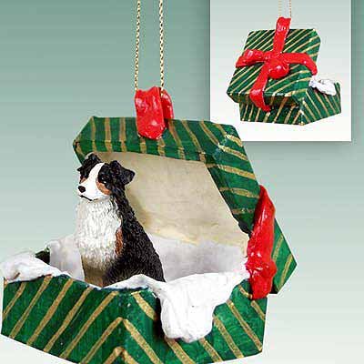 Conversation Concepts Australian Shepherd Tricolor Gift Box Green Ornament