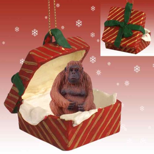 Conversation Concepts Orangutan Gift Box Red Ornament
