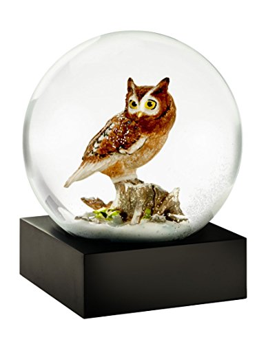 Owl Snow Globe by CoolsnowGlobes
