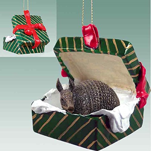 Armadillo Gift Box Green Ornament