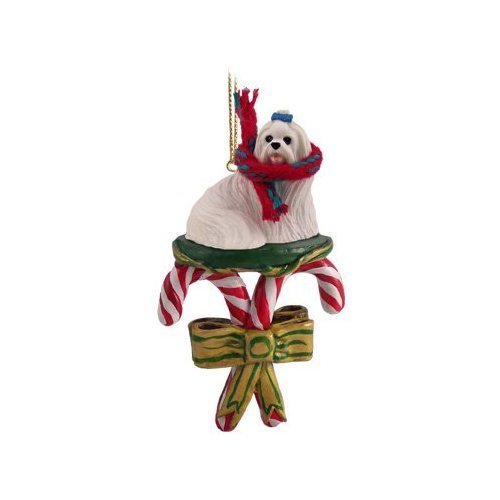 Maltese Candy Cane Ornament by Conversation Concepts