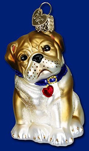 Old World Christmas Bulldog Puppy Heart Collar Glass Ornament 12136 Dog FREE BOX