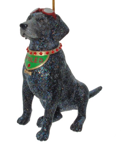 December Diamonds Spoiled Rotten Black Labrador Retreiver Ornament-Rhinestones!