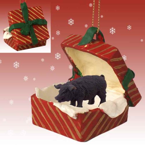 Conversation Concepts Pig Black Gift Box Red Ornament