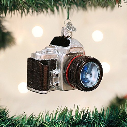 Old World Christmas Camera Glass Blown Ornament